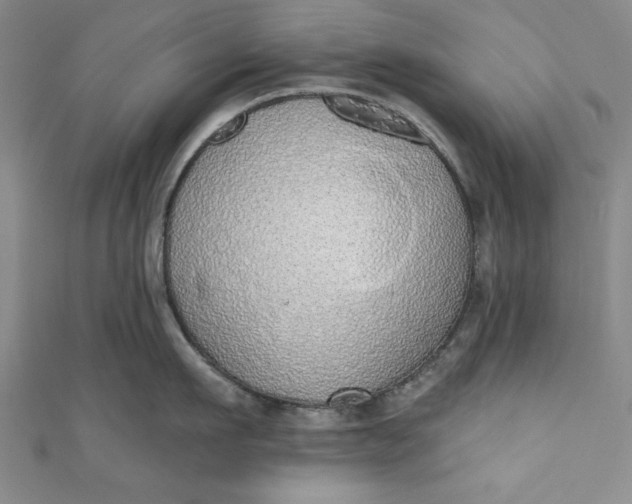 X0000110860911200907021413