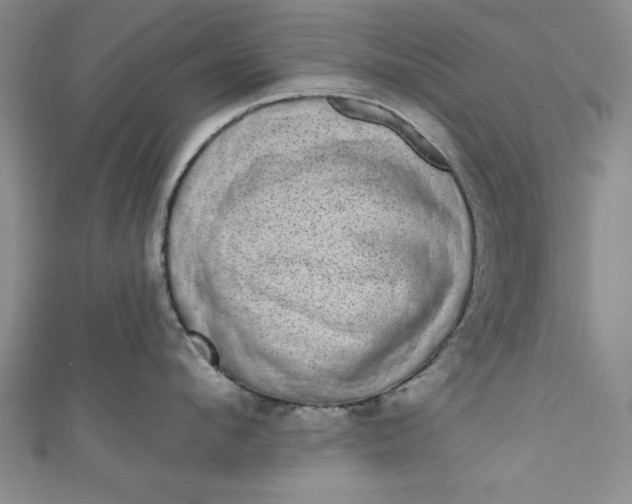 X0000110860912200907021413