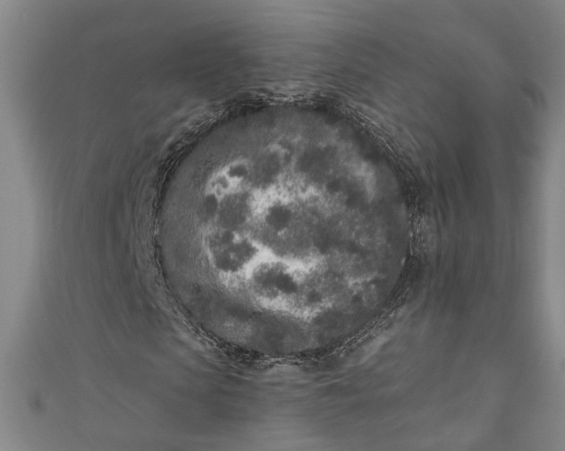 X0000110860913200907021412