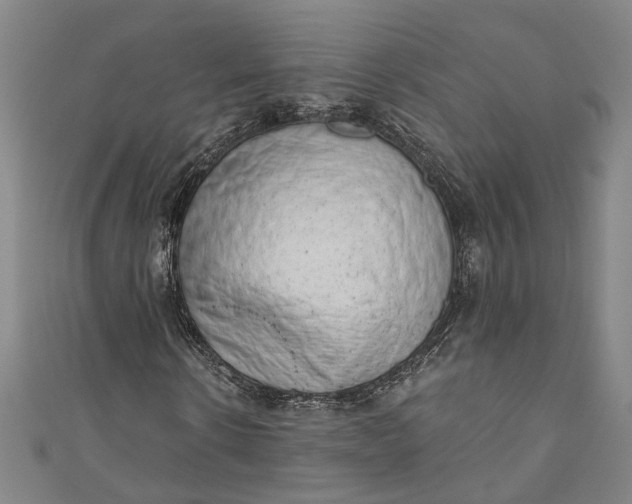 X0000110860914200907021412