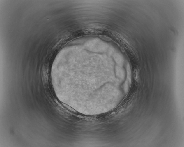 X0000110860915200907021412