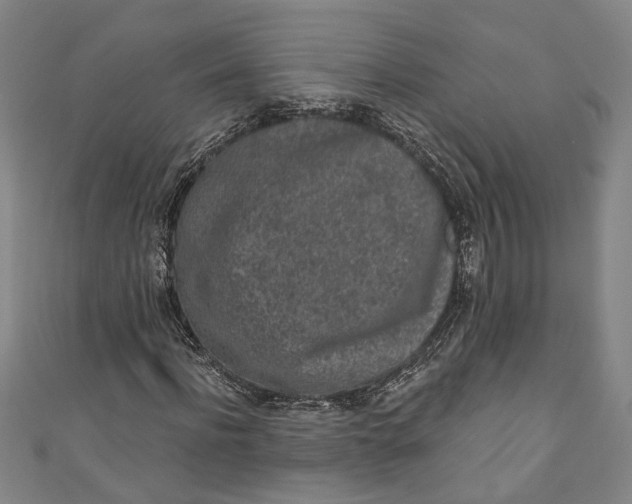 X0000110860916200907021412