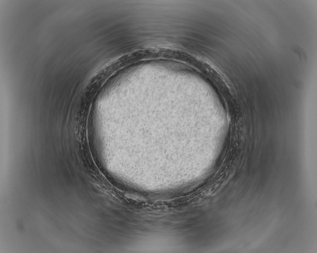 X0000110860919200907021412