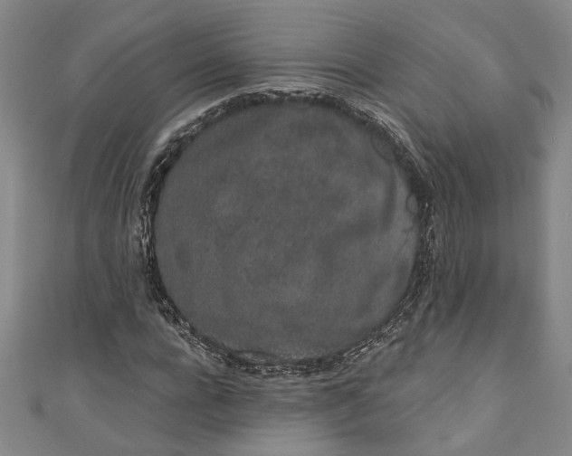 X0000110860920200907021412