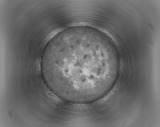 X0000110860921200907021412