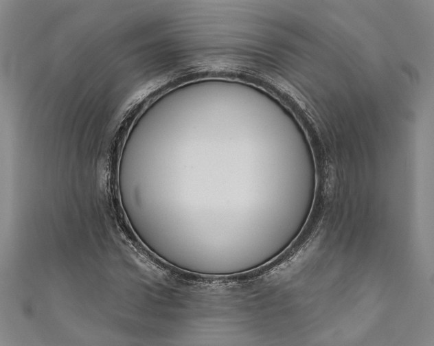 X0000110860922200907021412