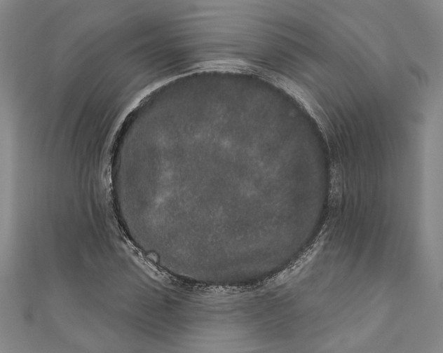 X0000110860923200907021412