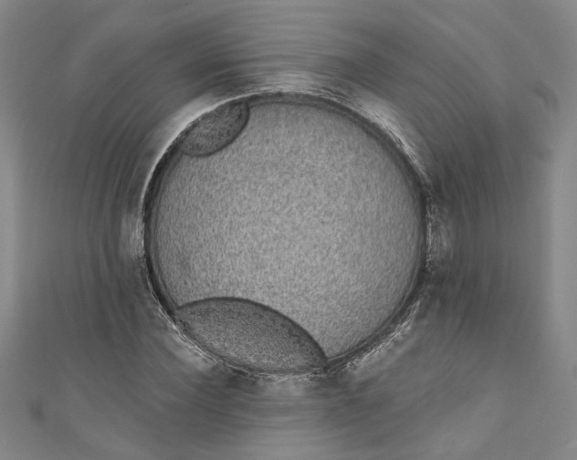 X0000110860924200907021412