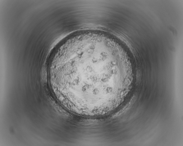 X0000110860925200907021412