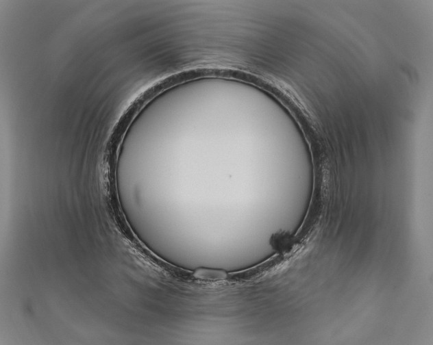 X0000110860926200907021412