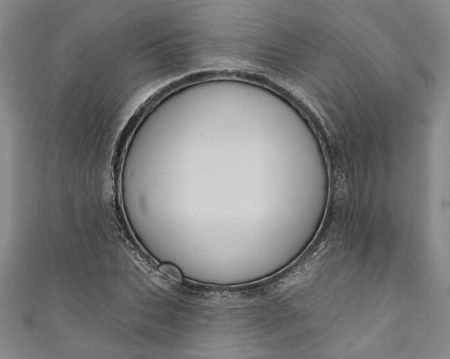 X0000110860927200907021413