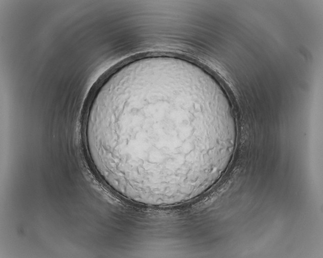 X0000110860928200907021413