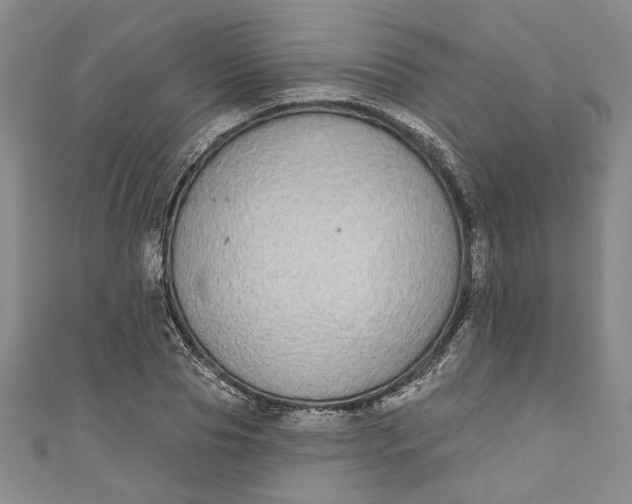 X0000110860929200907021413