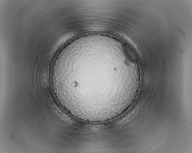 X0000110860930200907021413