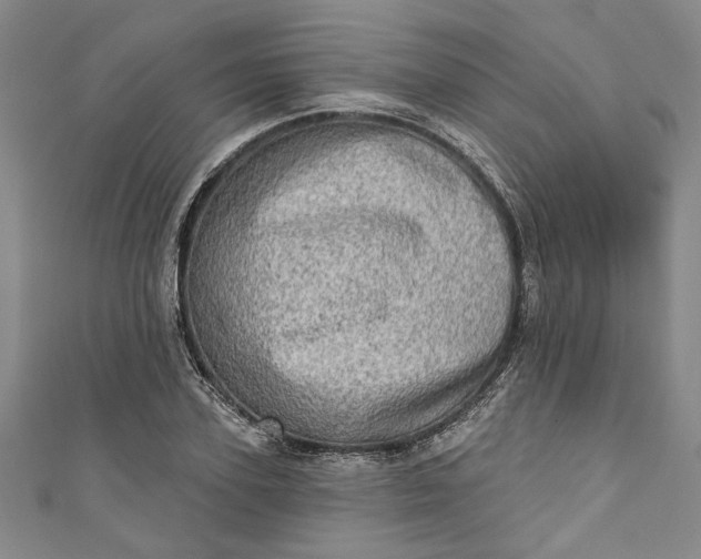 X0000110860931200907021413