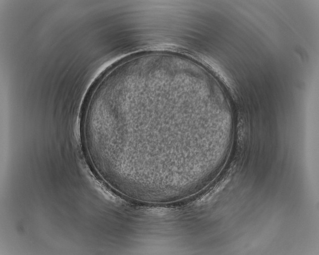 X0000110860932200907021413