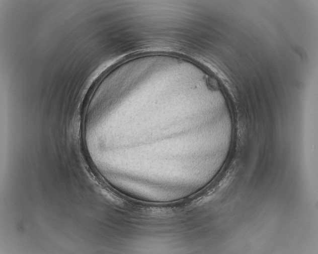 X0000110860933200907021413