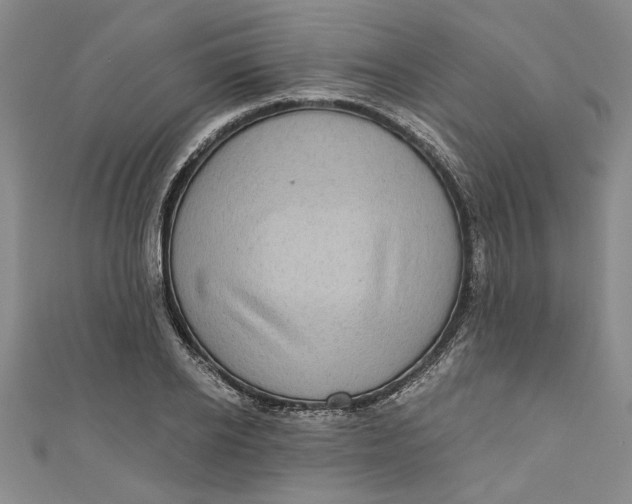 X0000110860934200907021413