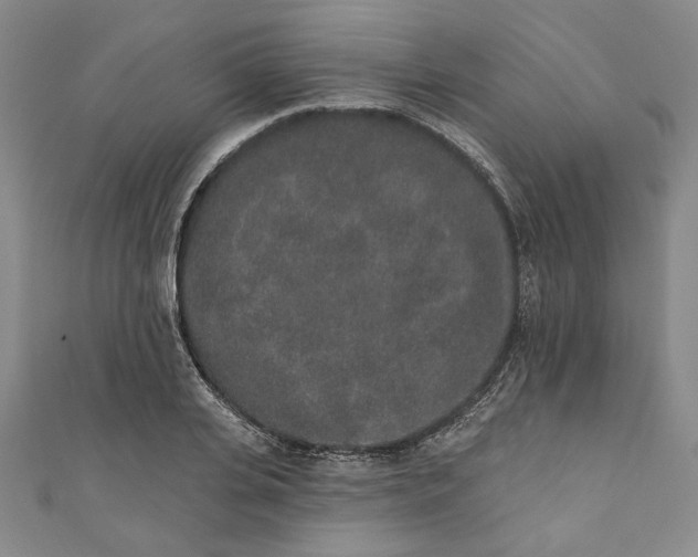 X0000110860935200907021413