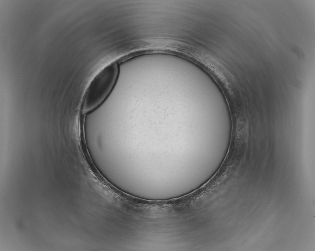 X0000110860936200907021413