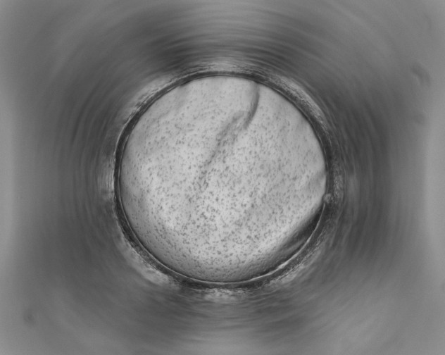 X0000110860938200907021413