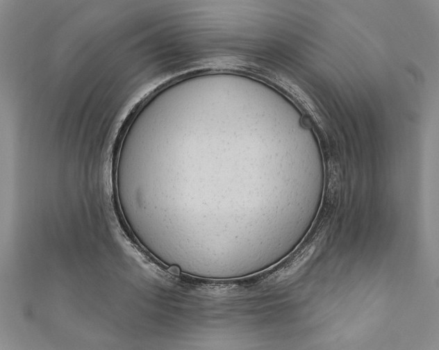 X0000110860939200907021413