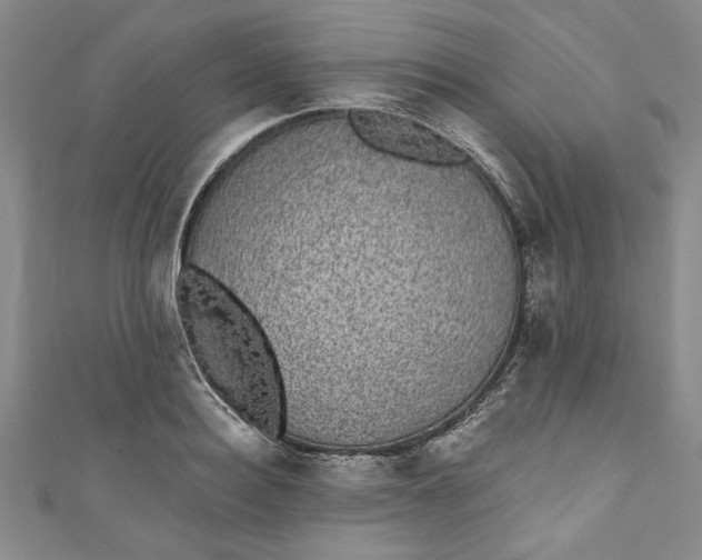 X0000110860940200907021413