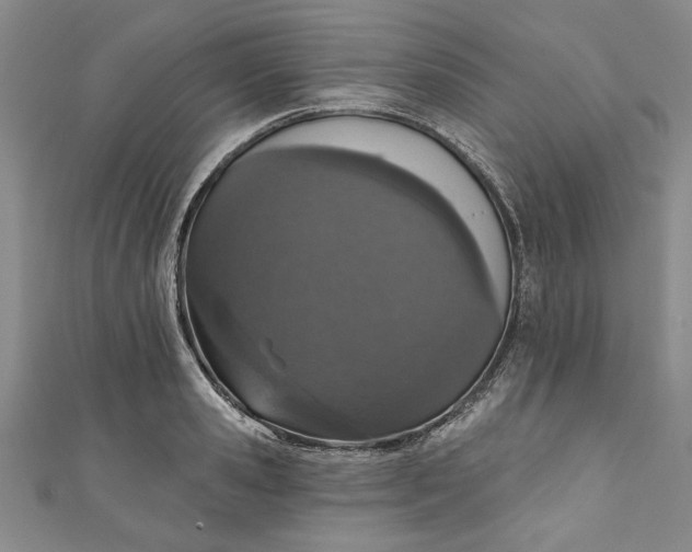 X0000110860941200907021413