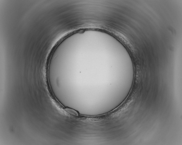 X0000110860942200907021413