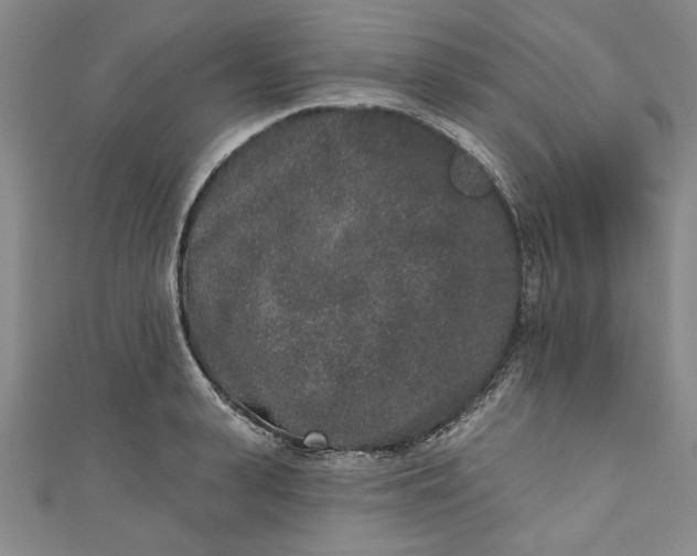 X0000110860943200907021413