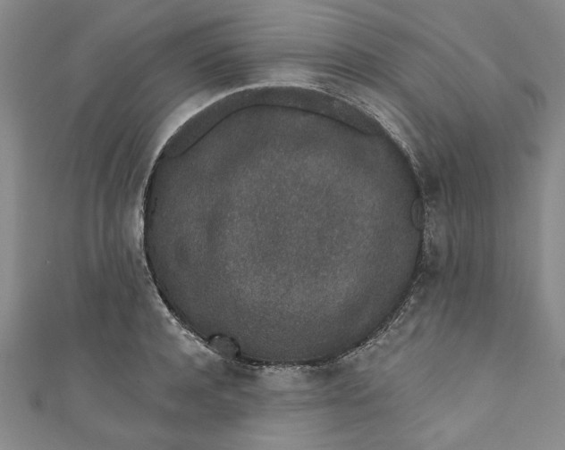 X0000110860944200907021413