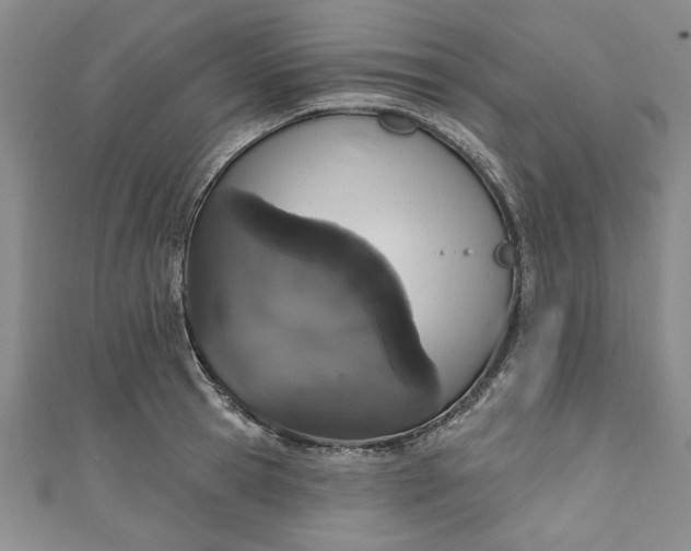 X0000110860945200907021413