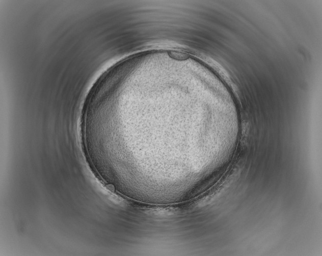 X0000110860947200907021413