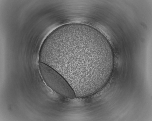 X0000110860948200907021413