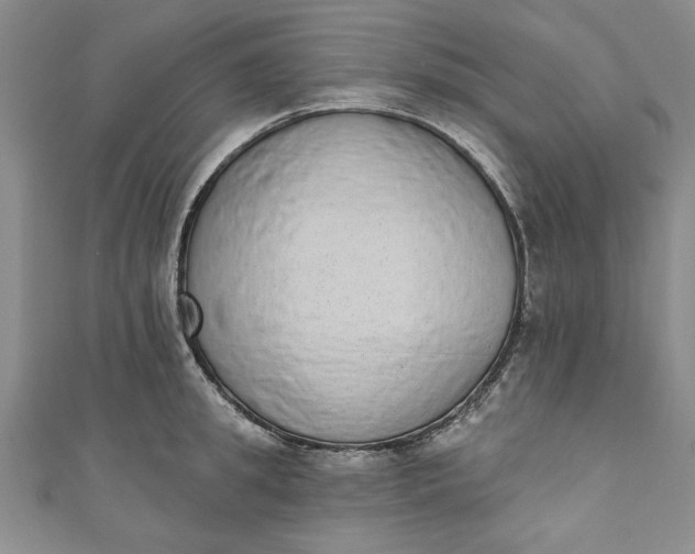 X0000110860949200907021413