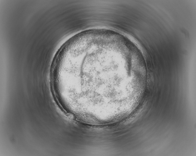 X0000110860951200907021413