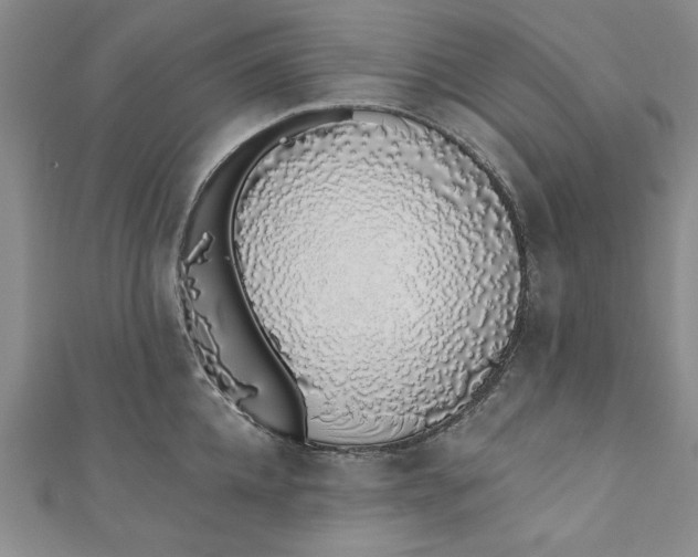 X0000110860952200907021413