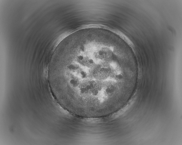 X0000110860953200907021413