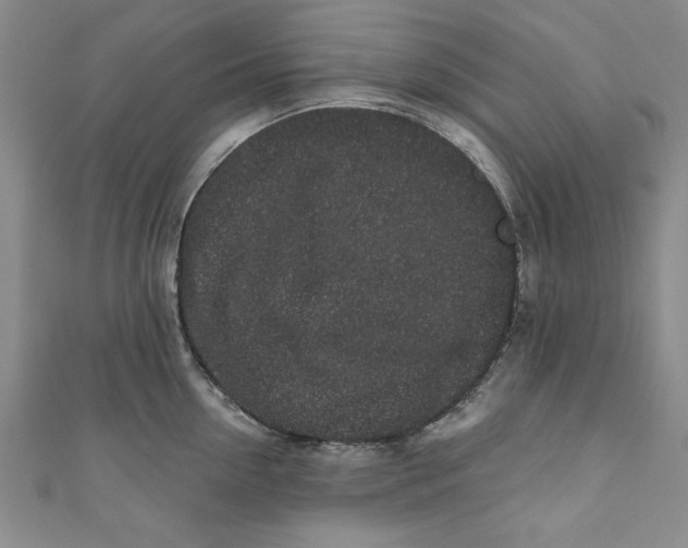 X0000110860954200907021413