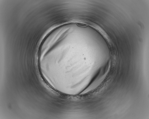 X0000110860955200907021413