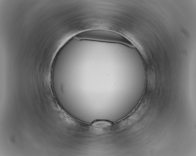 X0000110860956200907021413