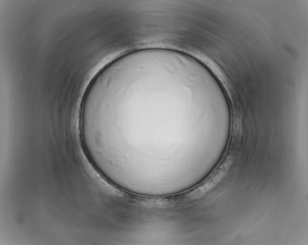 X0000110860957200907021413