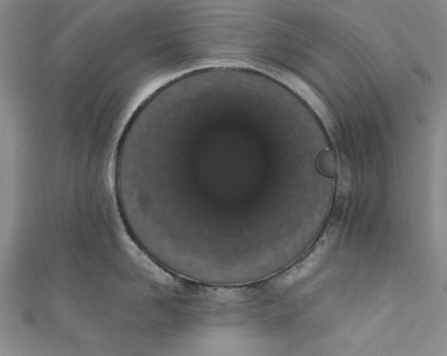 X0000110860958200907021413