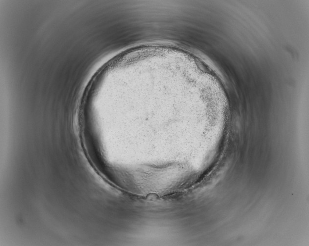 X0000110860959200907021413