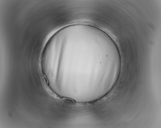 X0000110860960200907021413