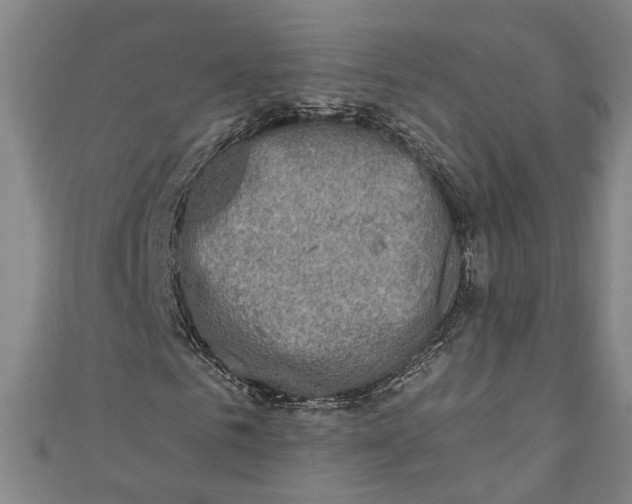 X0000110860961200907021412