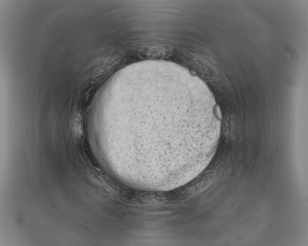 X0000110860962200907021412