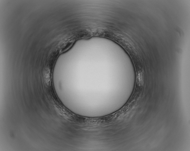 X0000110860963200907021412