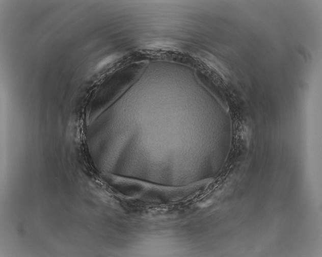 X0000110860965200907021412