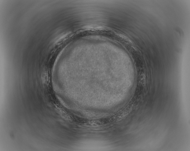 X0000110860966200907021412